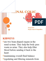 Renal Colic: Prepared By: Regine Anne B. Panganiban