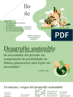 Desarrollo Sostenible