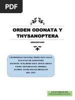 Orden Odonata y Thysanoptera