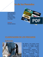 Exposicionpescadosgrupo1 100924083731 Phpapp02