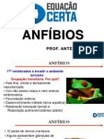 DIA 20 DE AGOSTO - BIOLOGIA - TURMAS 3 SÉRIE, PREMIUM, MED E e MED F - PROF. ANTENOR FORTES