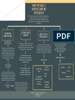 Software y Servicios de Internet