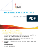 Capacitación PDCA