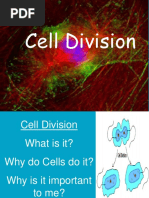 Day 2 and 3 - MITOSIS and MEIOSIS