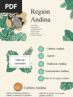 La Region Andina