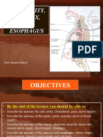 2 Oral Cavity PHARYNX And, Esophagus - Farabi