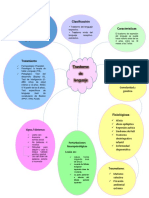Mapa Trastorno de Lenguaje