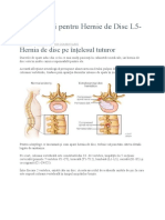 Exercitii Pentru Hernie de Disc L5