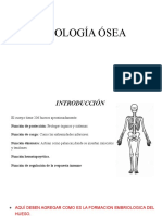 Fisiologia Osea Exp?