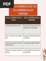 Rol de La Enfermería en Salud - Rol de La Enfermería en Salud Comunitaria