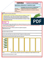 Repartimos Alimentos A Nuestros Cuyes MATEMATICA