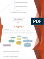 Presentación Final Sociologia