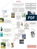 Diagrama Problematica de La Ciénaga