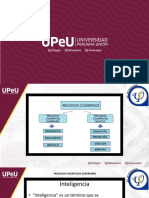 Procesos Cognitivos Basicos y Superiores