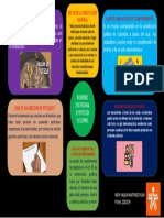 Infografia Mecanismos Constitucional de Proteccion