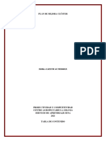 Plan de Mejora para La Competitividad Empresarial Según El Clúster