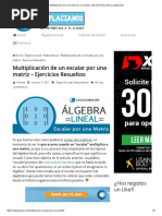 Multiplicación de Un Escalar Por Una Matriz - Ejercicios Resueltos - Laplacianos