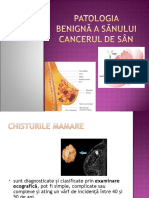 Patologia Benignă A Sânului, Cancer de Sân