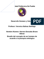 Desarollo Humano