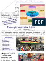 Proceso y Constitución Del Estado Plurinacional