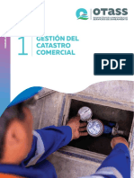 Catastro Comercial PDF