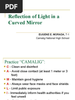 Reflection in Curved Mirror