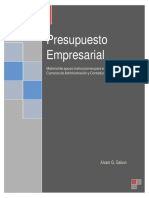 Presupuesto Empresarial