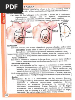 ÁREA MAMARIA Y AXILAR - B S: Ycolad E