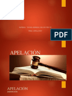 Exposición Apelación