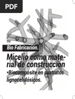 Micelio