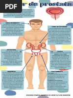 Infografia Cancer de Prostata