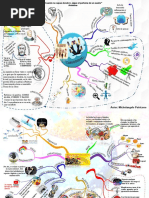 Mapa Mental Filosofía