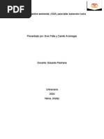 Sistema de Gestión Ambiental - 8.2