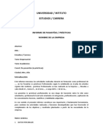 Modelo de Informe Practica Profesionalizante