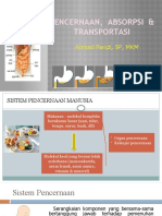 Pencernaan, Absorbsi Transportasi