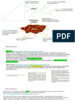 Árbol de Problemas