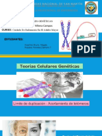 Exposicion Grupal - Telomeros