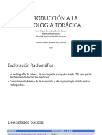 Neumología D - Diapositivas 1er Parcial