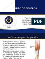 Desgarro de Gemelos