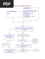 Pathophysiology of Nephrolithiasis, Struvites Stone (Staghorn Calculi)