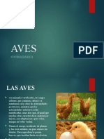 AVES