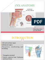 Larynx Anatomy: Elena Rizzo Riera R1 Orl Huse