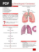 Lung Cancer (Bronchogenic Carcinoma) : Topic Outline