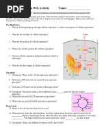 Cellular Respiration Web Activity Name