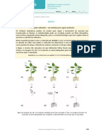 BioGeo 10 Teste Pratico 4-2021