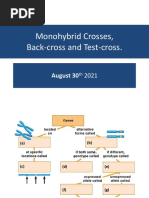 Genetics 2nd Weeks, Monohybrid Crosses