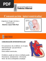 Comunicacion Interventricular