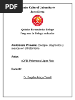 Amiloidosis Primaria Concepto Diagnóstico y Avances en El Tratamiento. 1