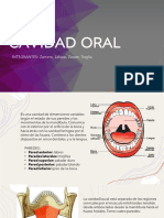 Cavidad Oral - UP3