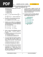 Hoja de Trabajo Palicativo